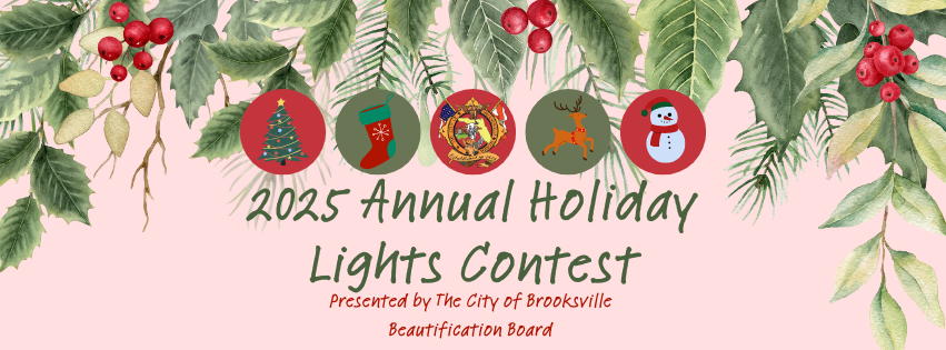 2025 Holiday Light Contest